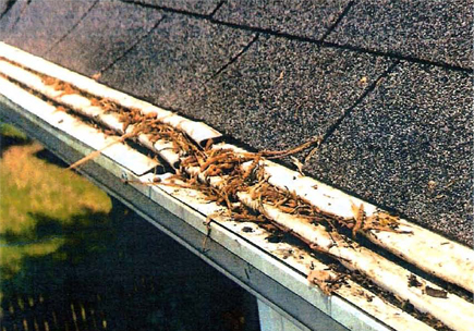 gutter guard article6picture5
