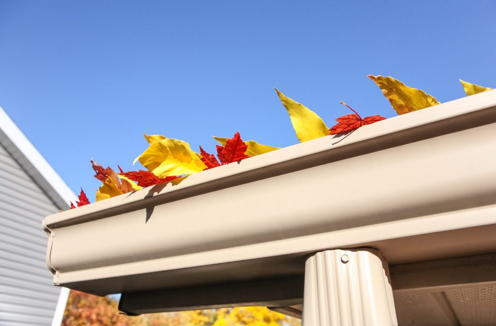 leaves sticking out of gutters