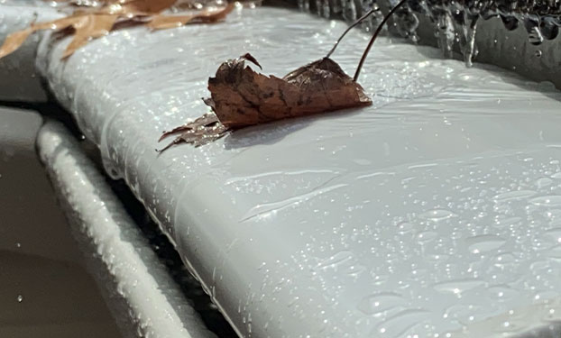 leaf on gutter guard