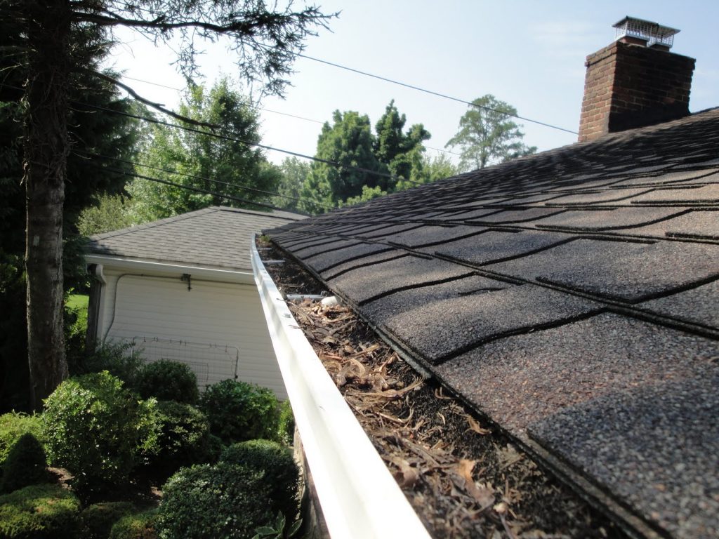 Clogged gutters