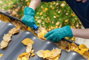 leaf-free gutter