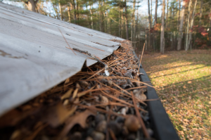 Clogged gutter