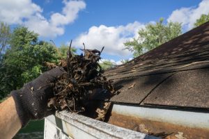 Man with glove clearing debris out of gutter