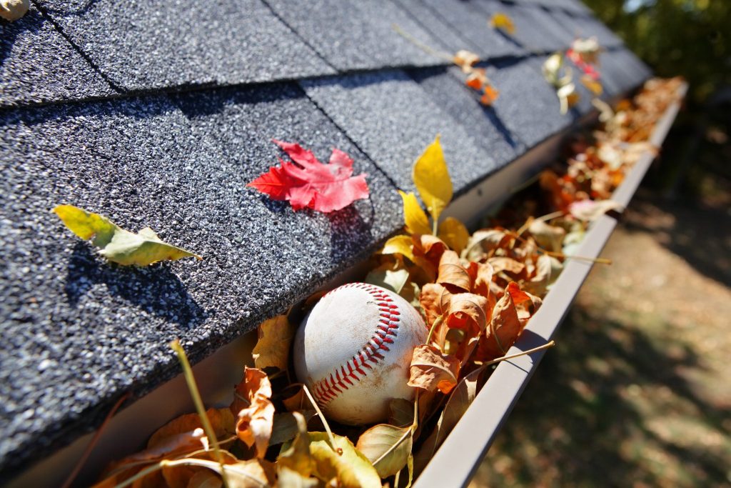 Leaves and baseball clogging up gutter