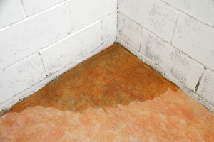 Water leak in basement