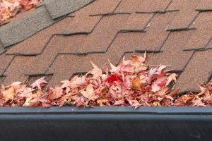 leaves in a gutter