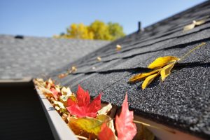 leaves resting on a roof and in gutter