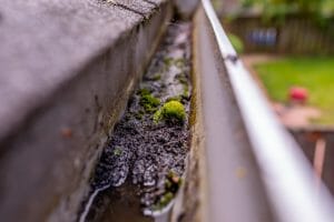 Are Your Gutters Ready for the Spring Thaw?