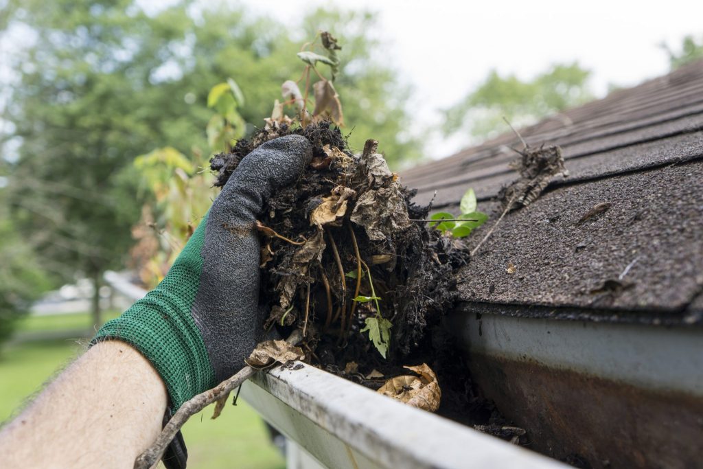 Person with gloves cleaning leaves out a clogged gutter