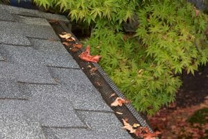 What You Need To Know Before Getting Gutter Guards For Your Home
