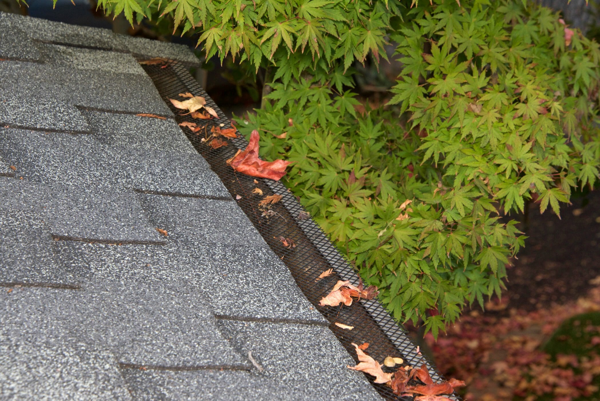What You Need To Know Before Getting Gutter Guards For Your Home