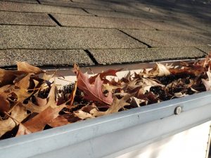 Leaves in Gutter